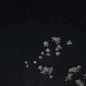 旅行中忘记（Cover：袁娅维）
