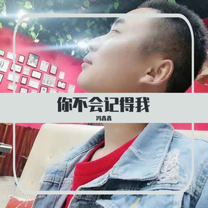 你不会记得我，