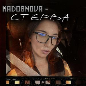 СТЕРВА