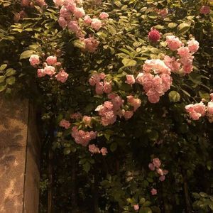 要一起(cover周深）