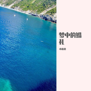 梦中的婚礼+