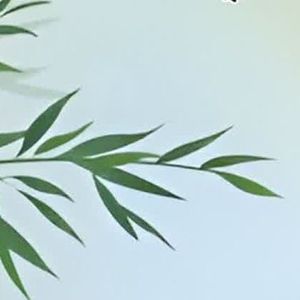 红尘来去一场梦