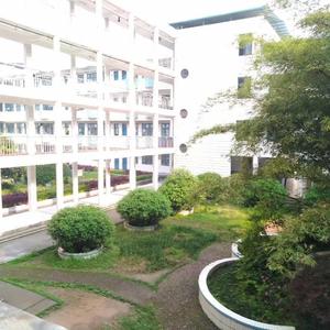 多想在平庸的生活拥抱你