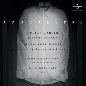 Kindertotenlieder:No. 2, Nun seh' ich wohl, warum so dunkle Flammen