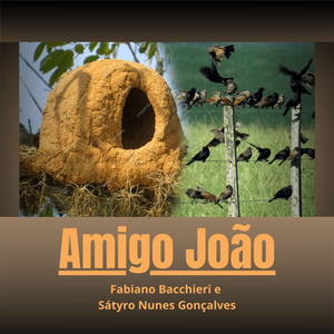 Amigo João