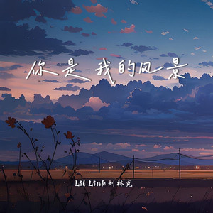 你是我的风景