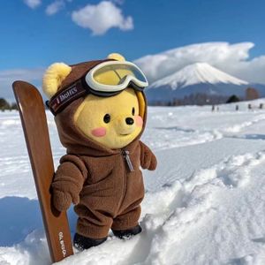 坦途的大路