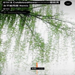 婚前男女不能同居 remix