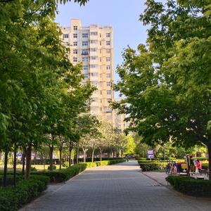 Always with me-吉他指弹