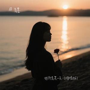 也许是某一天（烟嗓版）（Cover 曲木老表）