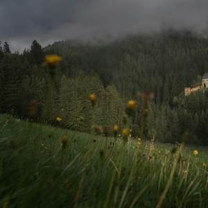 Rain Beneath the Light