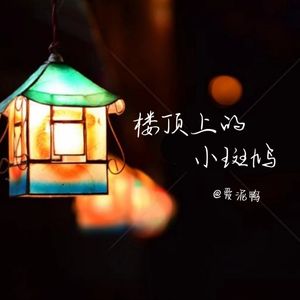 楼顶上的小斑鸠(温柔女生治愈版)