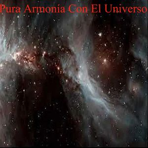 Confía Y Deja Que La Vida Te Sorprenda