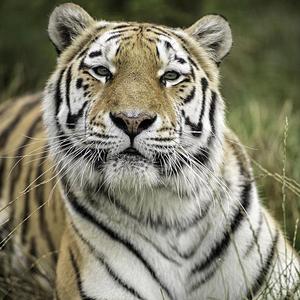 看不到边的风景