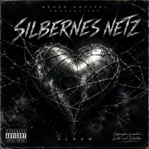 Silbernes Netz