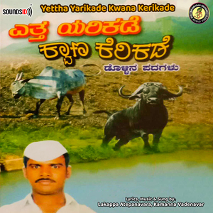 Ninalla Nanna Saradara