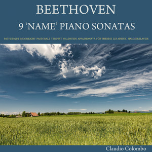 Piano Sonata No. 14 in C-Sharp Minor, Op. 27 No. 2 "Moonlight Sonata": III. Presto agitato