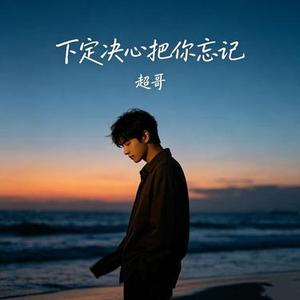 下定决心把你忘记 (烟嗓男版)