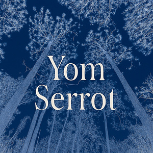 Hoy te tengo que olvidar