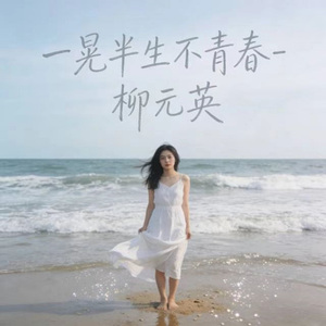 一晃半生不青春 (DJ版)