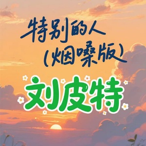 特别的人 (烟嗓版)
