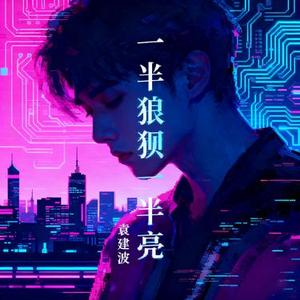 一半狼狈一半亮
