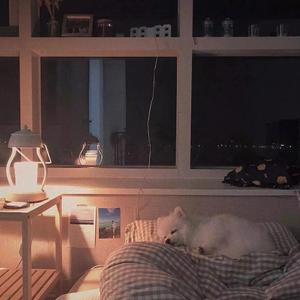 一起梦游(女生版)