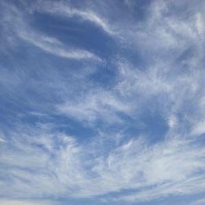 疫情过后你想见谁（翻自 Red killer）