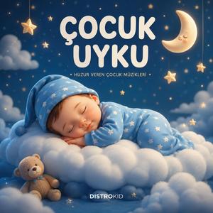 BEBEK ÇOCUK UYKU MİZİĞİ (Sare Müzik)