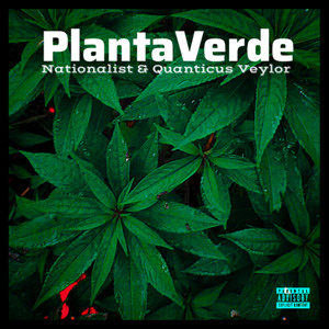Planta Verde