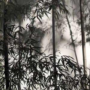 “竹韵”中国风×Gunna Type Beat