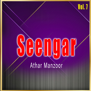 Seengar