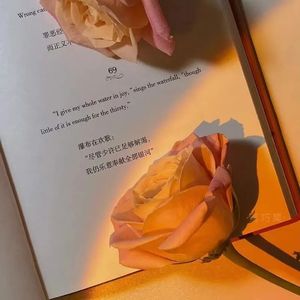 30年前，50年后-精卫（夕里糊涂.萌 remix）