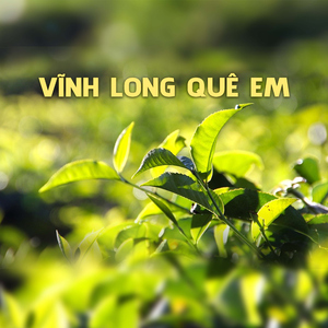 Vĩnh Long Quê Em