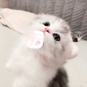 既入穷巷就该及时掉头