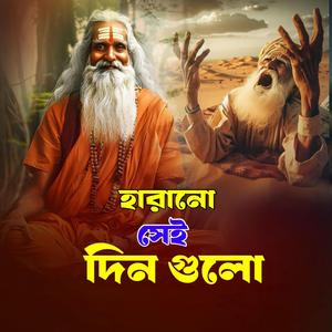 Harano Sei Din Gulo ( হারানো সেই দিন গুলো)