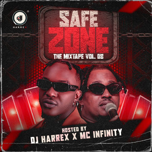 SAFEZONE (THE MIXTAPE VOL. 8)