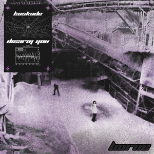 Disarm You (borne Remix)