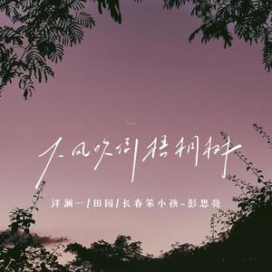 大风吹倒梧桐树