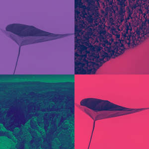 抚慰的早晨回忆