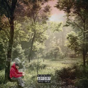 Terpz (feat. Sh3luvs)