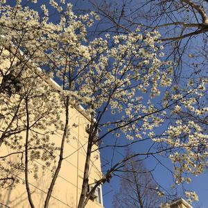 就这样吧-（那明天见了 remix）