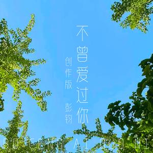 不曾爱过你（创作版）