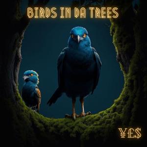 Birds In Da Trees