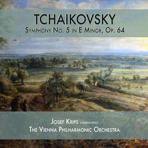 Symphony No. 5 in E Minor, Op. 64: II. Andante cantabile con alcuna licenza
