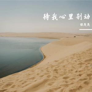 不要对他说-张茂茂