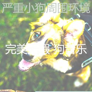 柔和的可爱的狗时刻