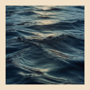 Brook Haus (Extended Mix)