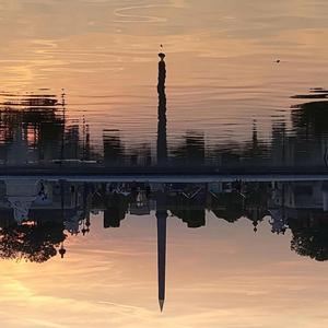 Ombres Chinoises & les Roseaux