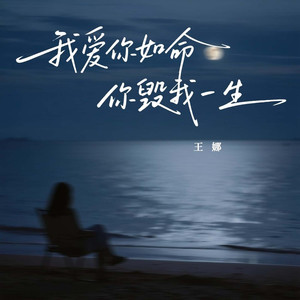 我爱你如命你毁我一生 (深情版)